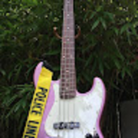 Meet your Posher, Cassidy - Picture 1 of 1